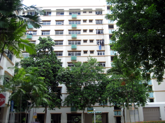 Blk 507 Elias Parks Estate (Pasir Ris), HDB Executive #134602